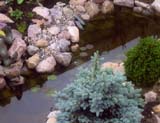  2004 