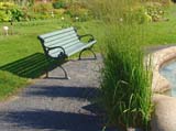 Molinia caerulea -  