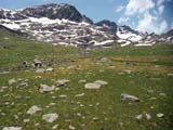 _2500m