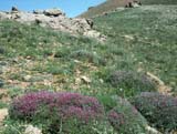 Bolkar Dag_2300m