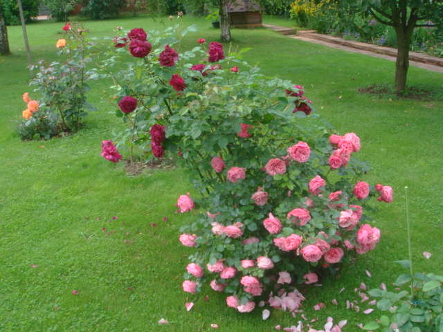 http://www.websad.ru/photos/5474/109160.jpg